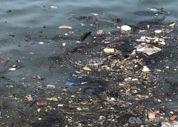 金門海廢 兩岸事務