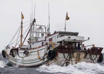 政府無道,逼民為盜
