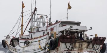 政府無道，逼民為盜