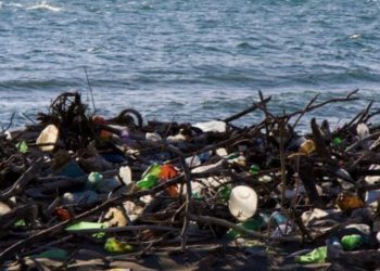 別讓金門背負臭名