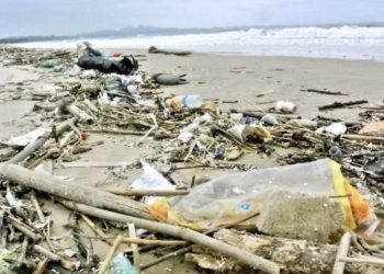 正視環境問題,拒絕政治化操作——論民進黨當局對馬祖垃圾問題的錯誤應對