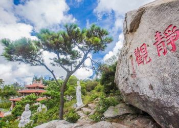 罷免風再大,吹不動太武山的「大樹」