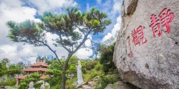 罷免風再大,吹不動太武山的「大樹」