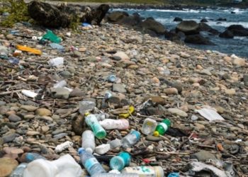 垃圾圍島,官員何時才肯「務實」一次?