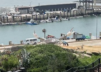 金門、馬祖史前人類考古不該因政治被輕放