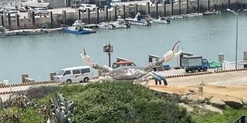 金門、馬祖史前人類考古不該因政治被輕放