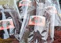 金門水試所的成功培育「麒麟菜」讓民眾能更容易取得另類健康的在地食材